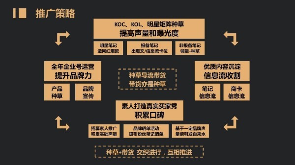 如何在小红书快速养号？掌握这秘诀，轻松提升曝光率！ - 副本